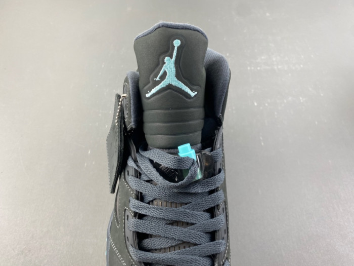 (2026) Solefly x Air Jordan 5 Retro IU0734-001