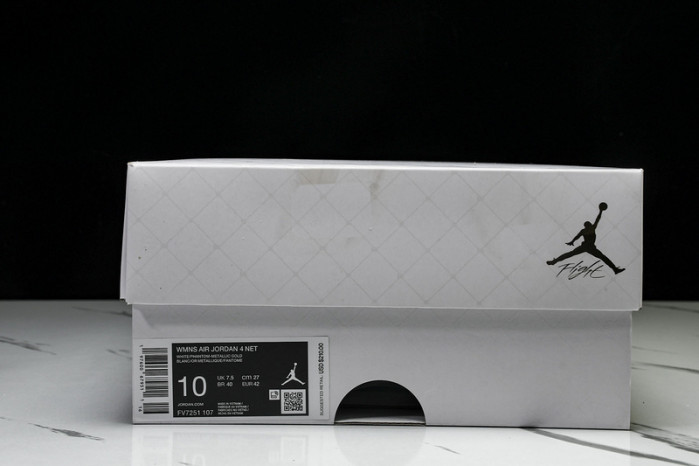 Air Jordan 4 FV7251-107