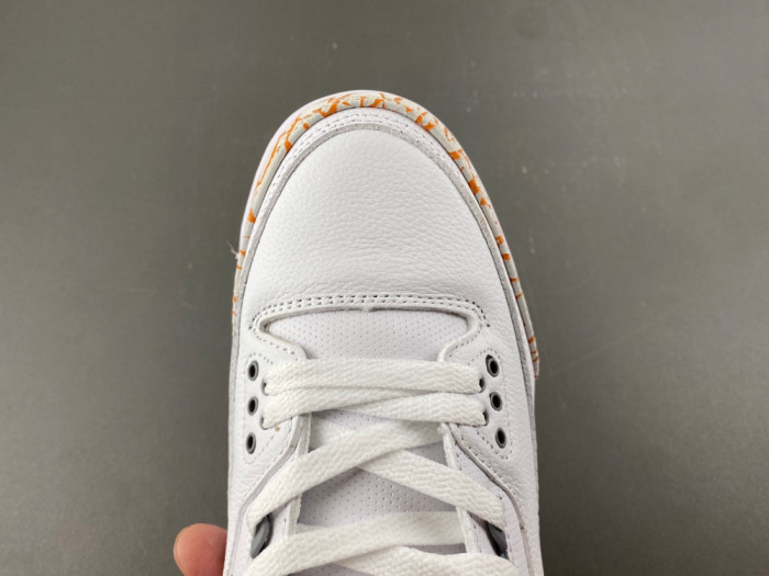 Jordan 3 CK9246-101
